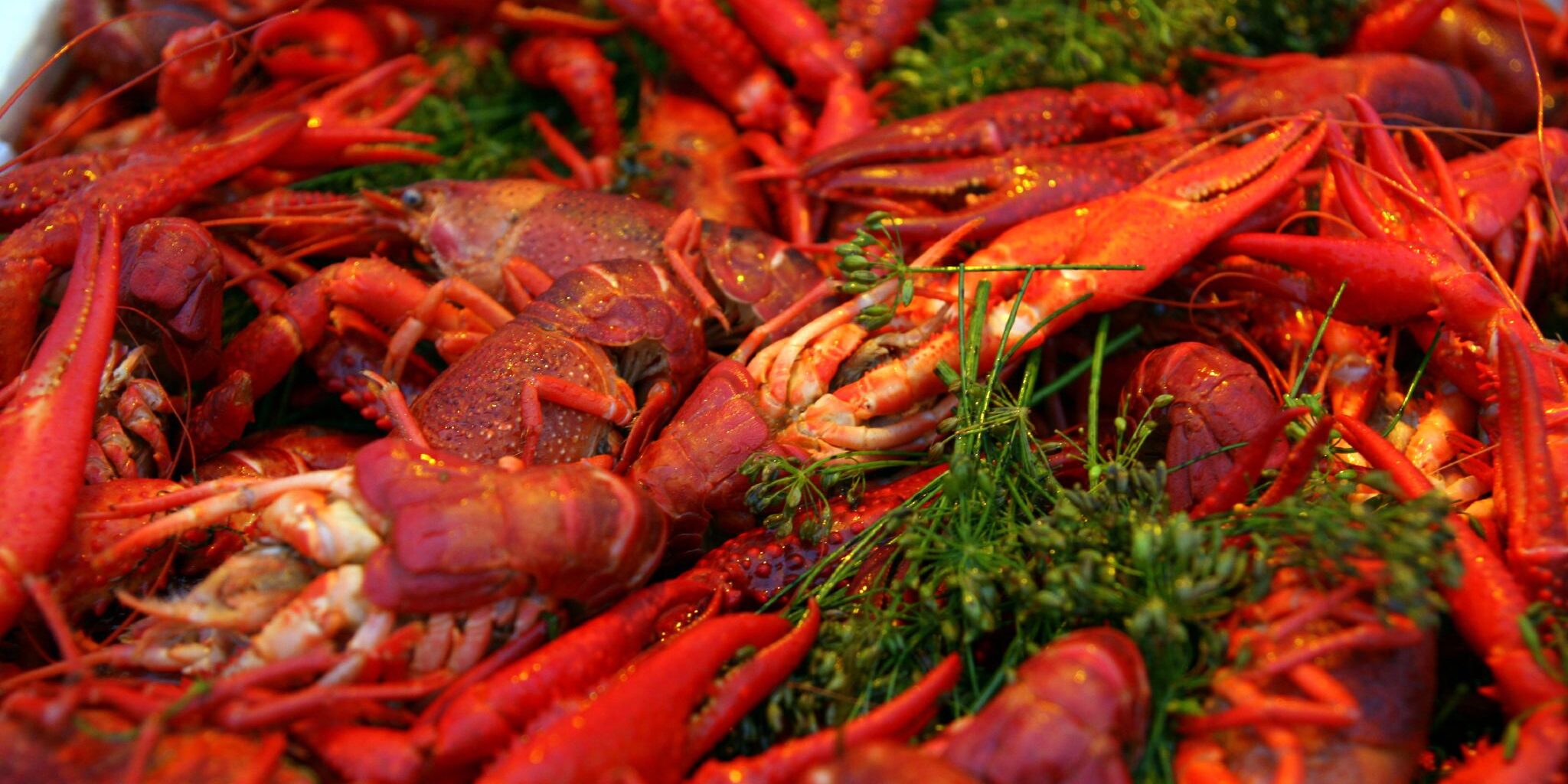 Варені раки із укропом