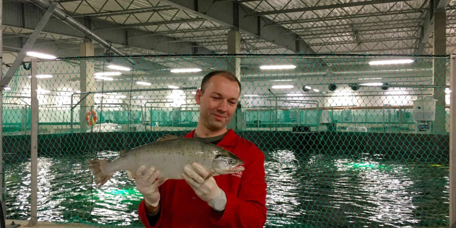 Losos_Jurrasic Прекрасний лосось на фермі в Польщі