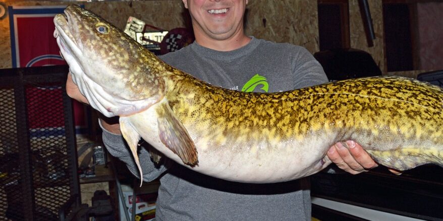 Плідник миня Плідник миня