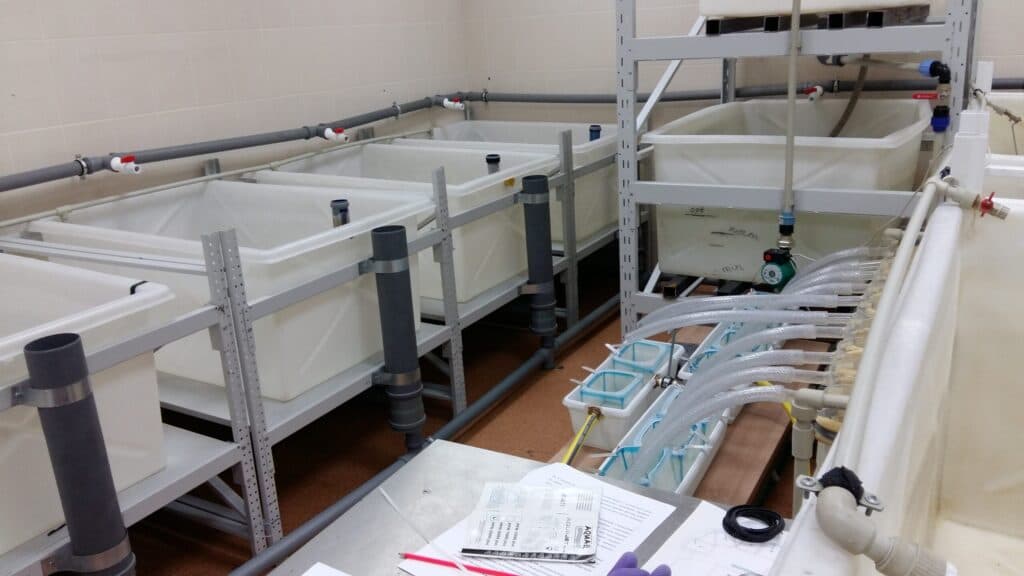 Visit to a modern laboratory