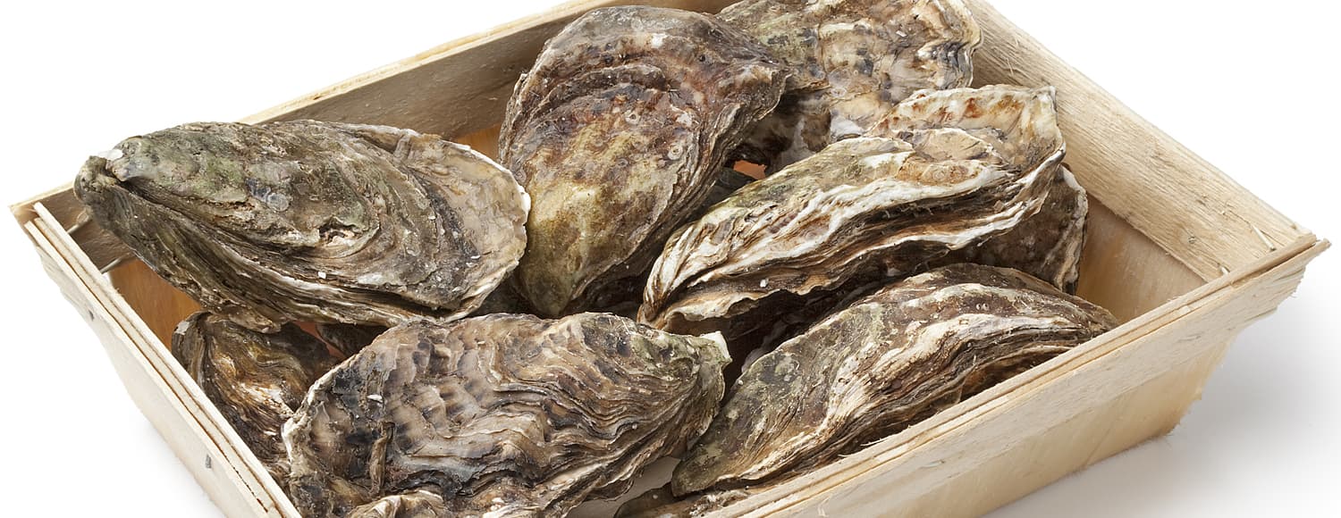 Устрицы в Украине?