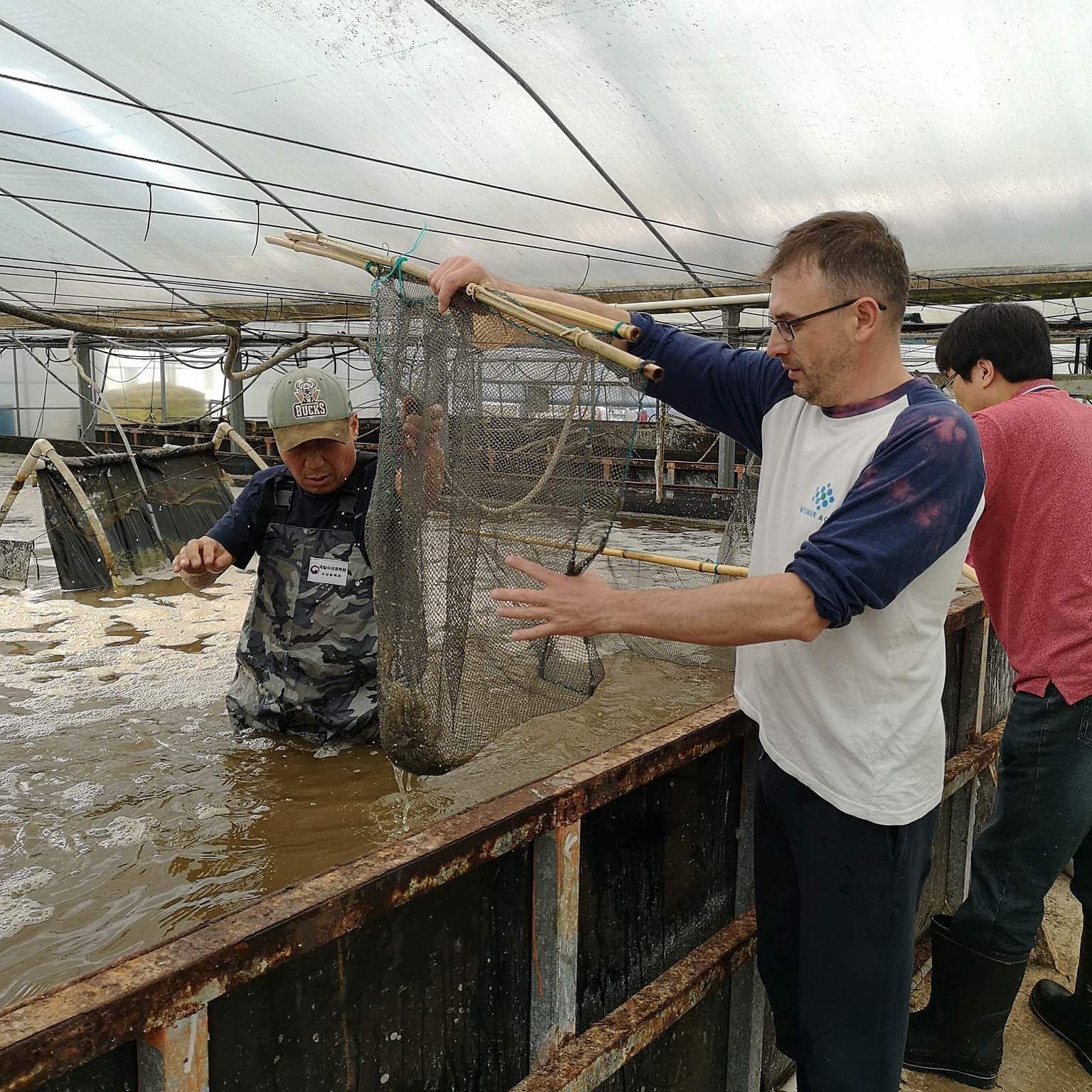 Вирощування креветок в кліматичних умовах України