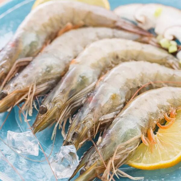 Вирощування креветок ваннамей Вирощування креветок ваннамей