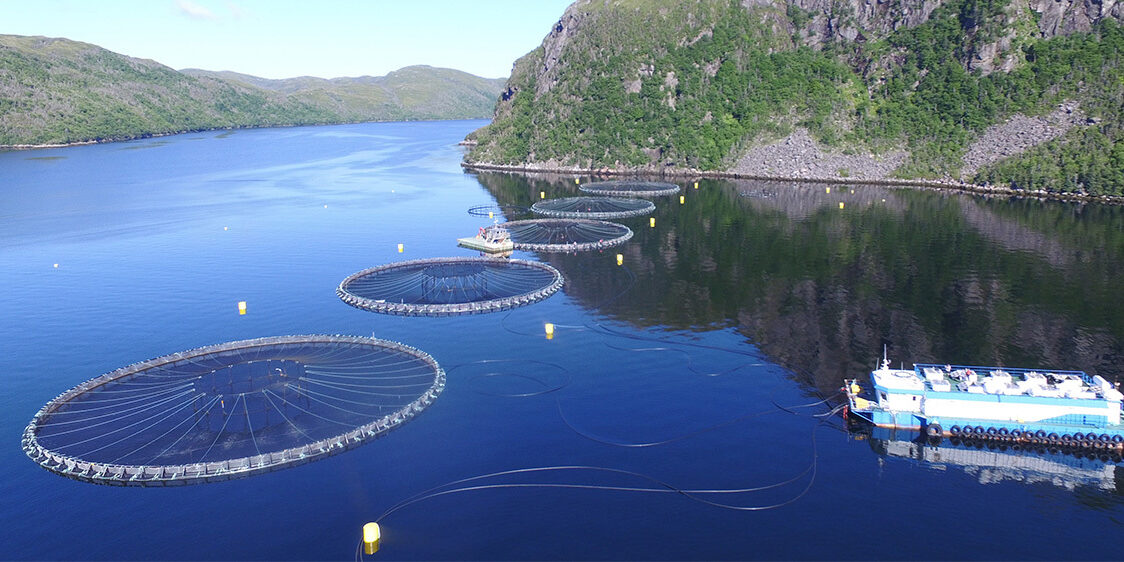 Сталий розвиток аквакультури