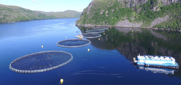 Сталий розвиток аквакультури Сталий розвиток аквакультури